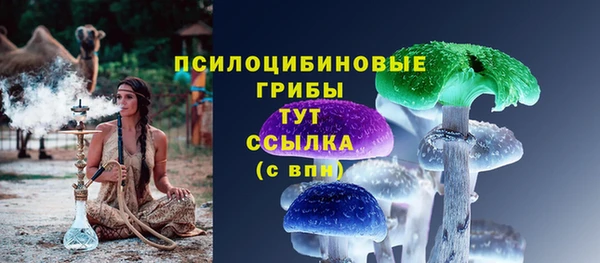 PSILOCYBIN Горняк